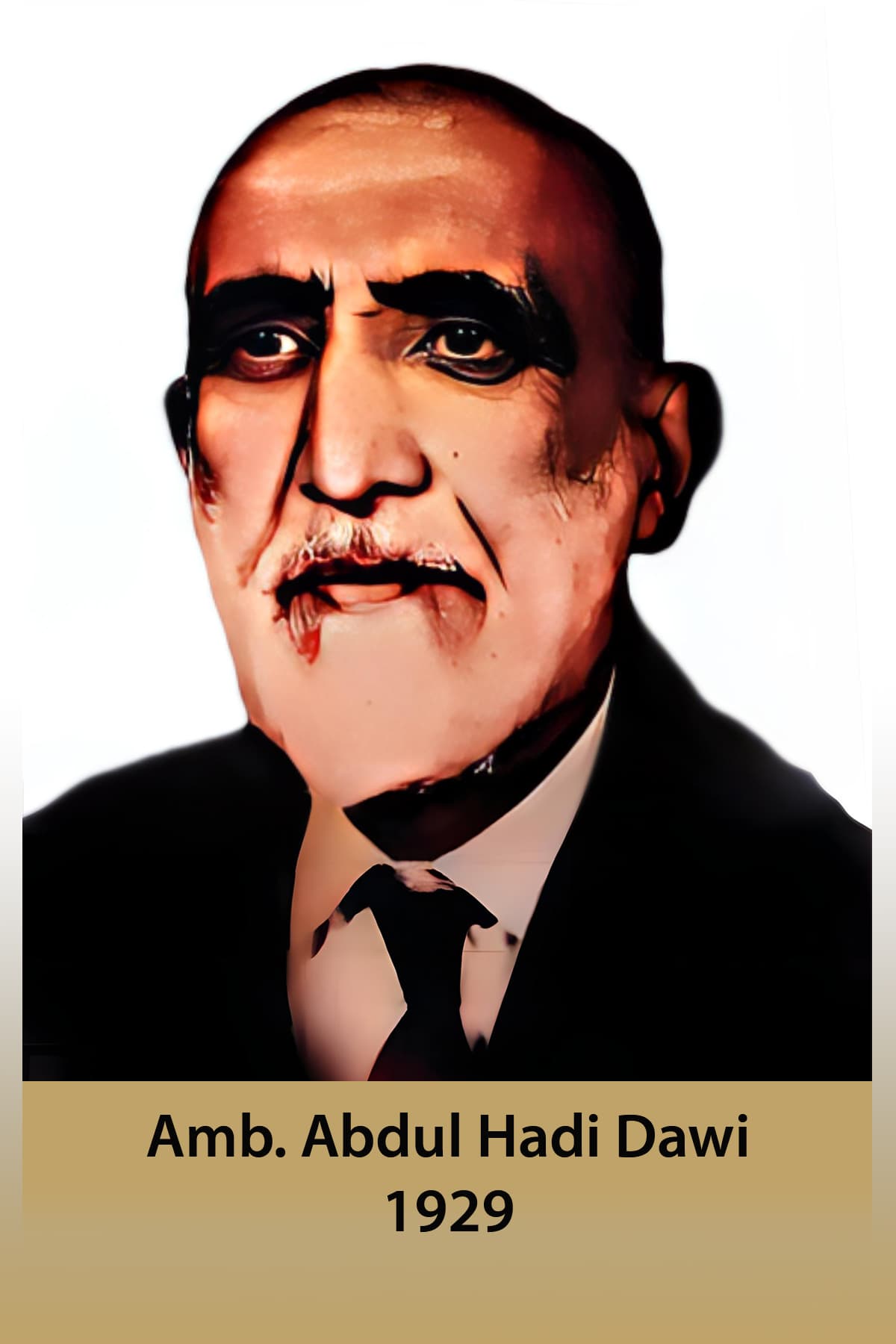پخواني منل شوي سفیران او جنرال قونسلان په بون کې Abdul Hadi Dawi 1929 1