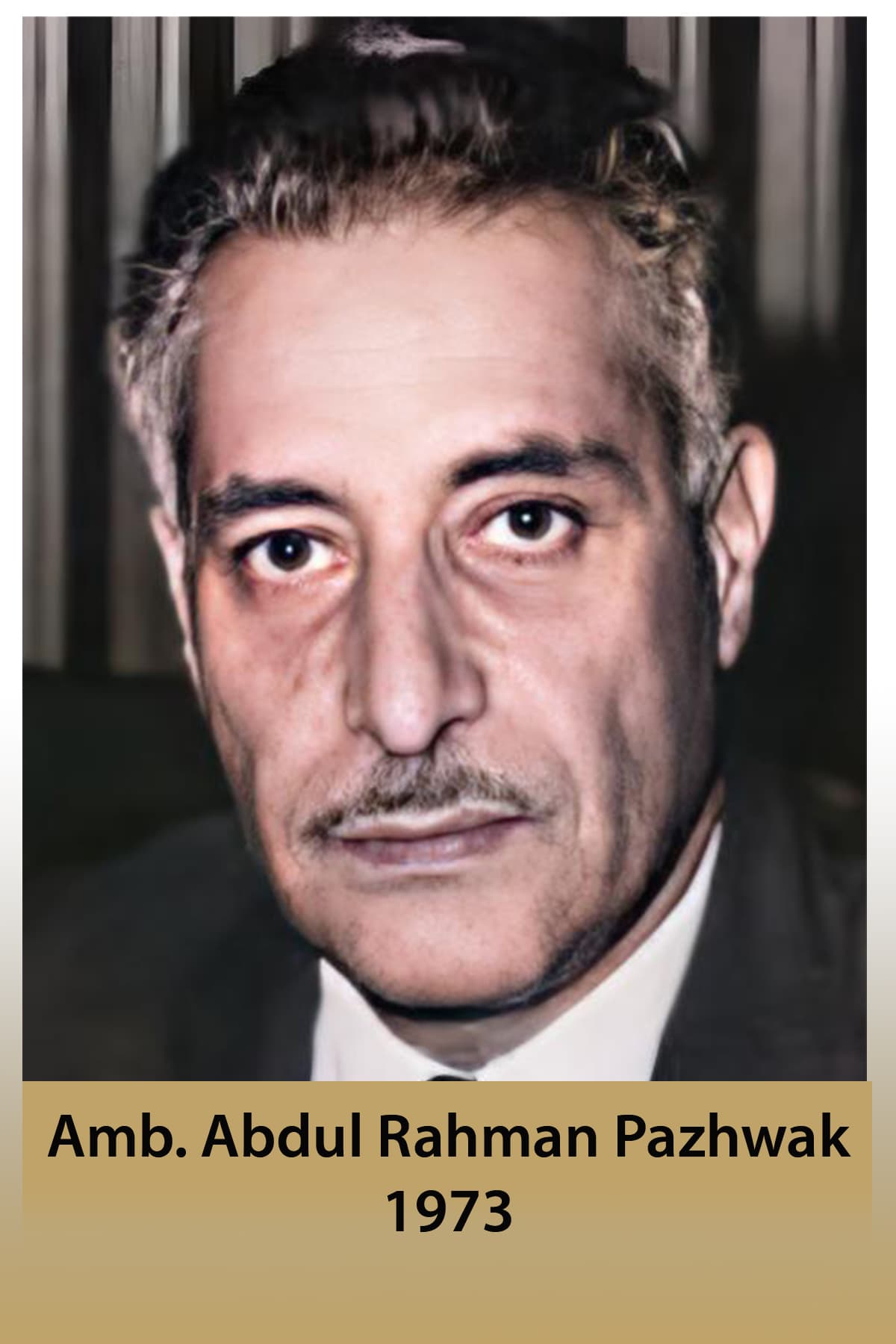 پخواني منل شوي سفیران او جنرال قونسلان په بون کې Abdul Rahman Pazhwak 1973