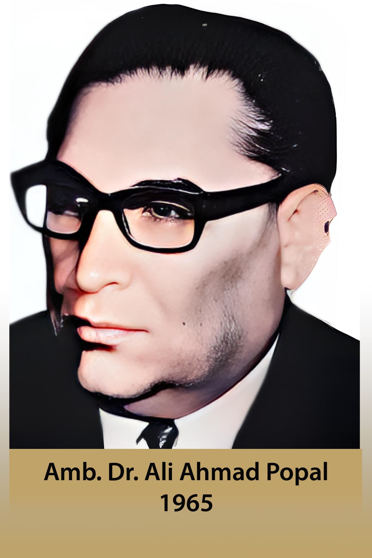 پخواني منل شوي سفیران او جنرال قونسلان په بون کې Ali Ahmad Popal 1965